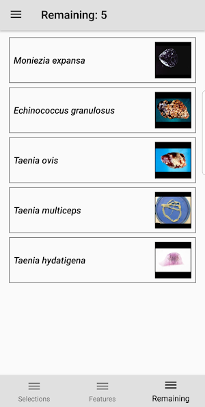 Sheep Parasites Screenshot 3