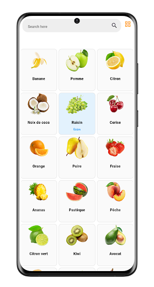 Learn french vocabulary easily Screenshot 1
