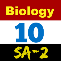 Bio - X - SA 2