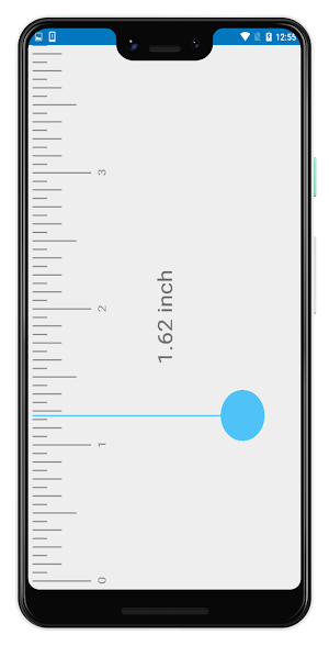 Simple Ruler Screenshot 1
