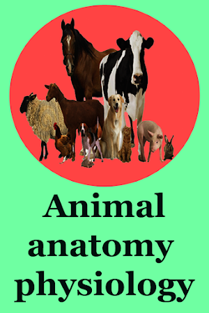 Animal anatomy physiology Screenshot 0