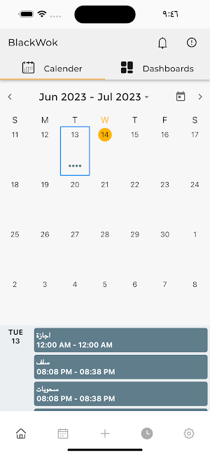 BlackWok User HR Screenshot 2