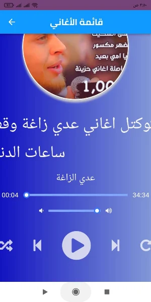أغاني عدي زاغة بدون نت Screenshot 1