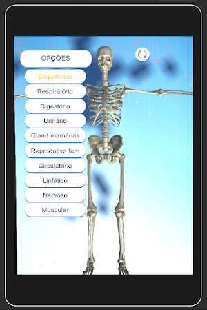 Anatomy Systems Screenshot 0