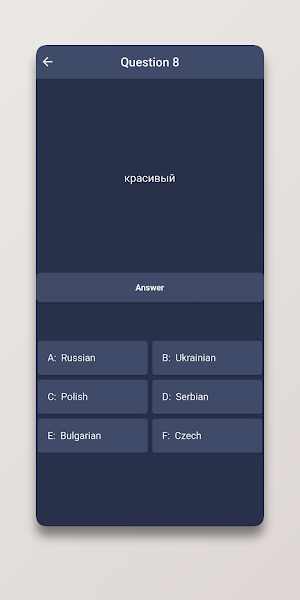 Language Squad - Guessing Game Screenshot 3