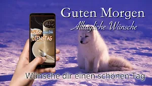 Good Morning Everyday Greetings in German Screenshot 3