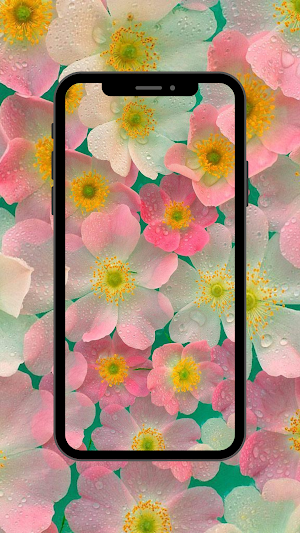 Flowers Wallpaper UHD Screenshot 1