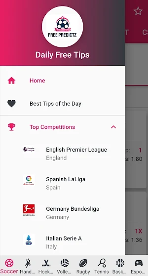 Winabettips Free Predictz Screenshot 3