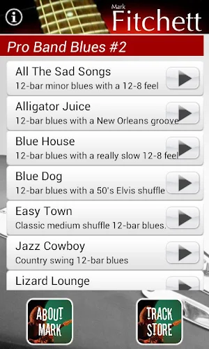 Pro Band Blues #2 Screenshot 0