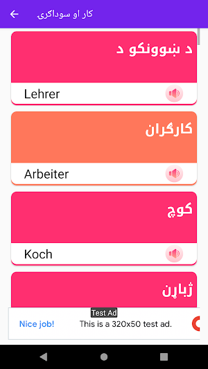 Speak German in Pashto Screenshot 3