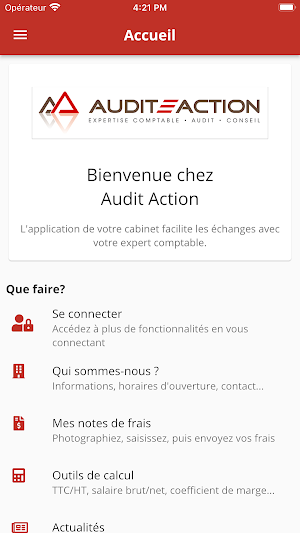 Audit Action Screenshot 0