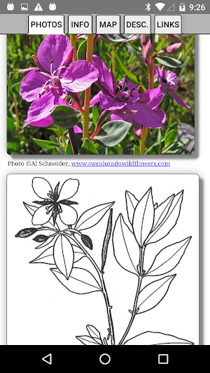 Alaska Wildflowers SE Screenshot 3