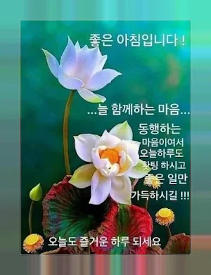 2023좋은 아침 Screenshot 3