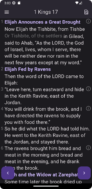 NIV Bible Notes Screenshot 2