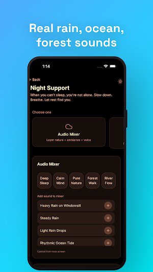 XinBridge Screenshot 3