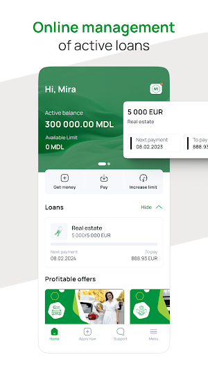 Microinvest Screenshot 2