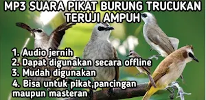 Suara pikat burung trucukan Screenshot 0