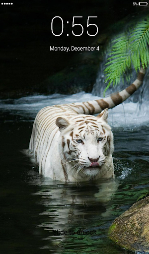 White Tigers Lock Screen Wallp Screenshot 3