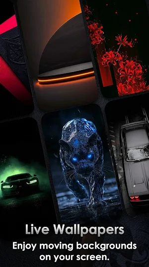 Black Wallpapers Live 4K Screenshot 2