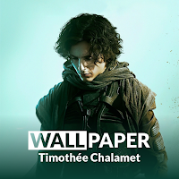 Timothee Chalamet HD Wallpaper