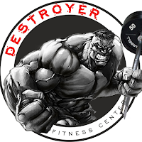Gimnasio Destroyer