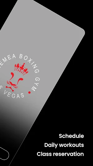 Nemea Boxing Screenshot 1
