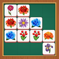 Zen Blossom Match