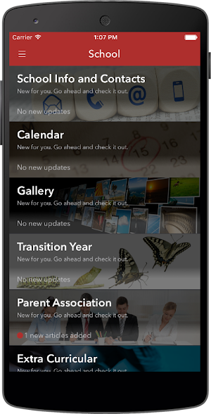 St. Mary's C.B.S, Portlaoise Screenshot 3