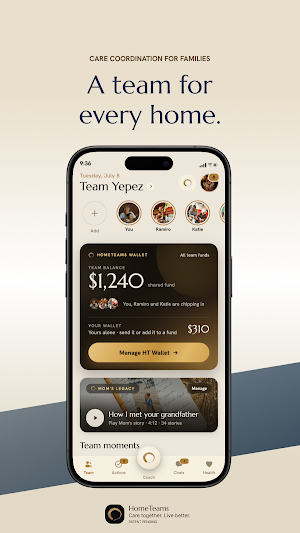 HomeTeams Screenshot 0