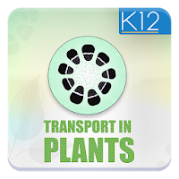 Transport in Plants Biology