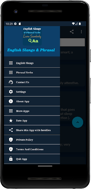 English Slangs Screenshot 3