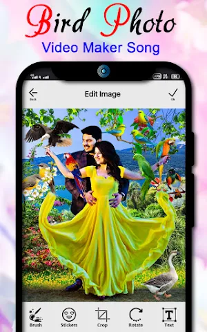 Bird photo video maker song Screenshot 2