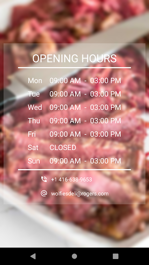 Wolfie's Deli Screenshot 2