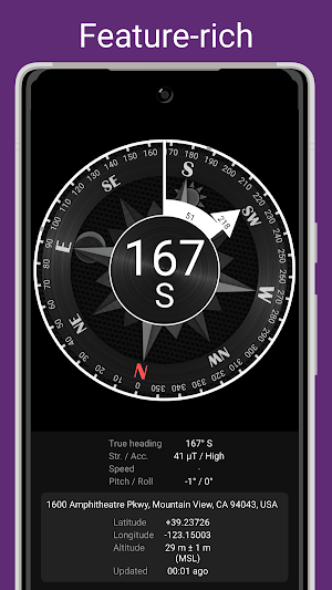 Compass Steel Pro Screenshot 0