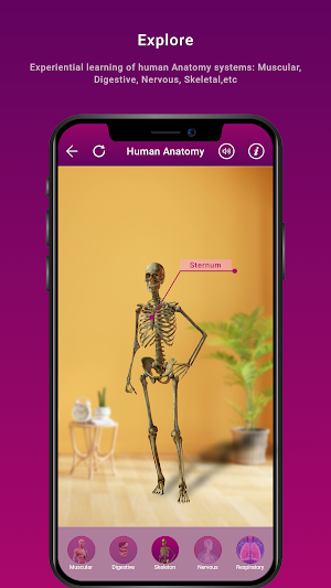 Human Anatomy Screenshot 1
