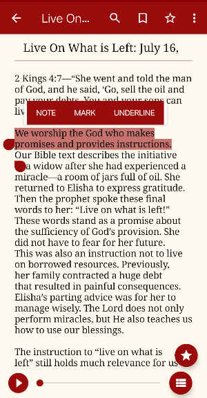 Tithes and Offerings Screenshot 2