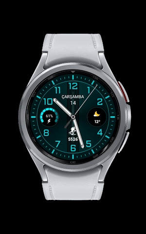 CNRwatch007 Screenshot 2