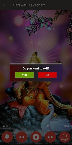 Sarswati Kavach & Stotra Screenshot 3