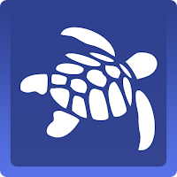 Turtle Magazine