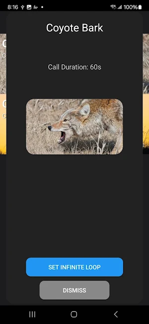 Coyote Calls Screenshot 2