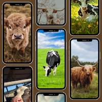 Aesthetic Cow Wallpaper 4K