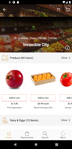 Invincible City Screenshot 1
