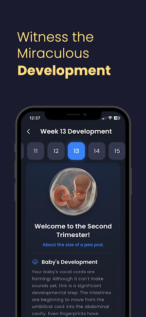 Pregnancy Journey Screenshot 2