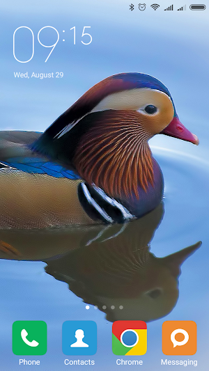 Mandarin duck Wallpapers Screenshot 2