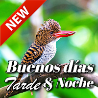 Spanish Good Morning Afternoon & Good Night Wishes