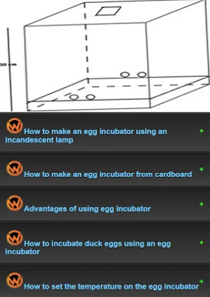 Learn to make an egg incubator Screenshot 3