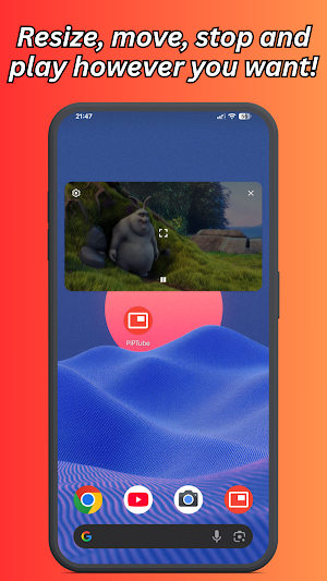 PiPTube Screenshot 1