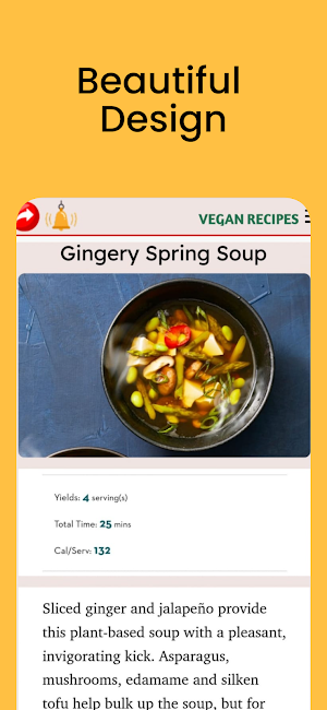 Easy Vegan Recipes Screenshot 3