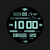 SamWatch PointColor 46