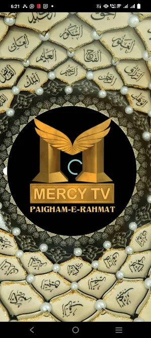 Mercy Education Screenshot 0